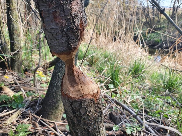 PA_AT_POET_otheractivitysignphoto_20220406134649984_1663074505