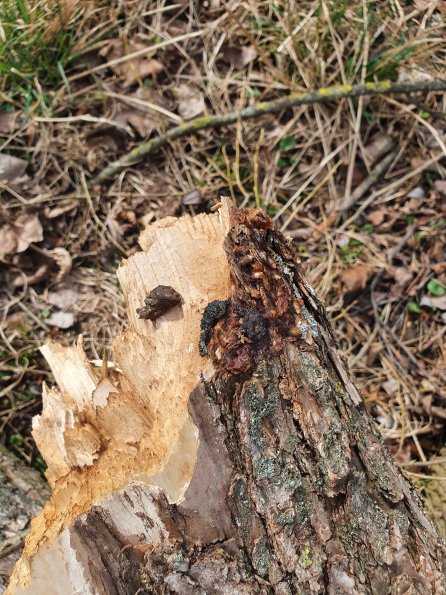 PA_AT_POET_otheractivitysignphoto_20220407100233207