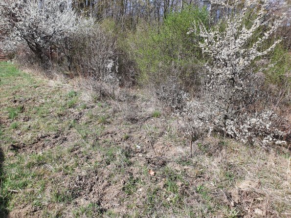 PA_AT_POET_otheractivitysignphoto_20220407103647023_1663074513