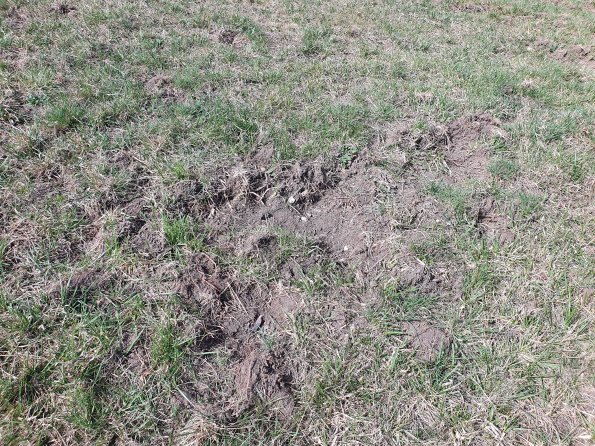 PA_AT_POET_otheractivitysignphoto_20220407112357698_1663074514