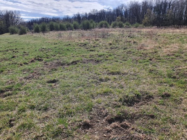 PA_AT_POET_otheractivitysignphoto_20220407112415905_1663074510