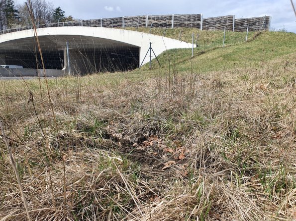 PA_AT_POET_otheractivitysignphoto_20220407112607615_1663074510