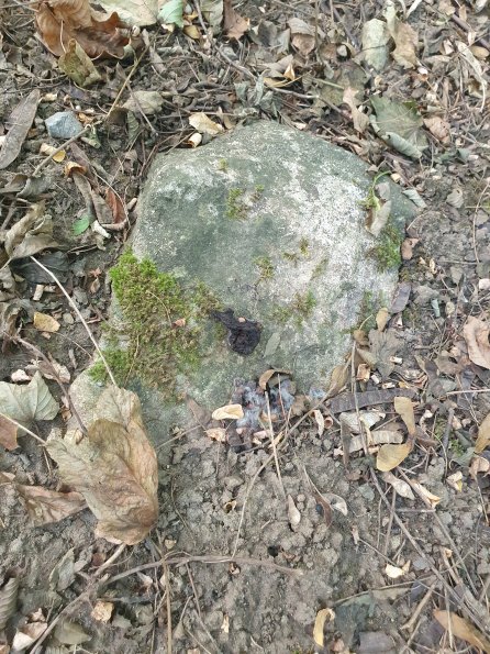 PA_AT_POET_otheractivitysignphoto_20220729084733218