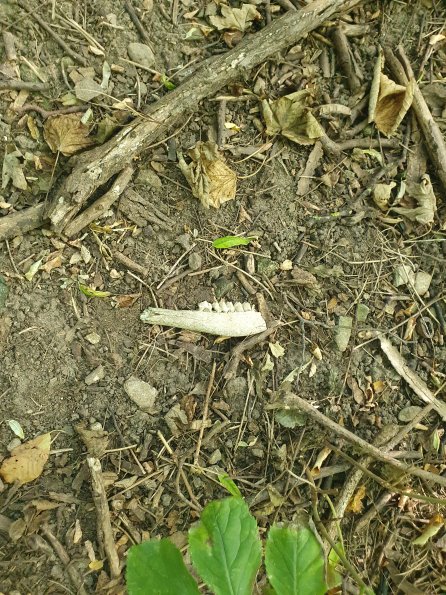 PA_AT_POET_otheractivitysignphoto_20220729085040567