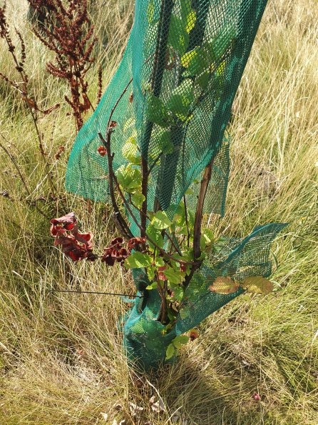 PA_AT_POET_otheractivitysignphoto_20220729093824402