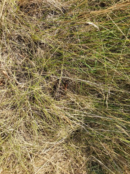 PA_AT_POET_otheractivitysignphoto_20220729105925235