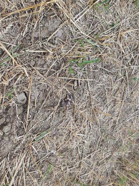 PA_AT_POET_otheractivitysignphoto_20220729115649509