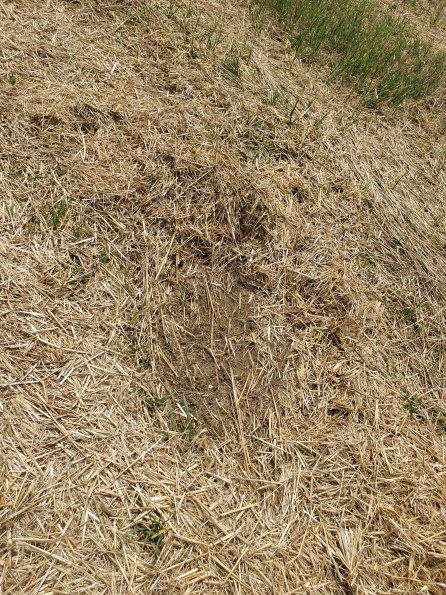 PA_AT_POET_otheractivitysignphoto_20220729121106030