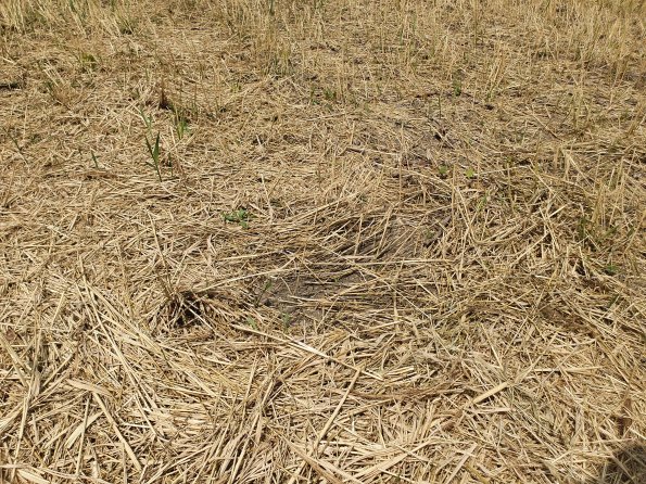 PA_AT_POET_otheractivitysignphoto_20220729122202611