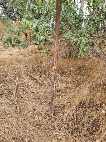 PA_AT_POET_otheractivitysignphoto_20220729124723475