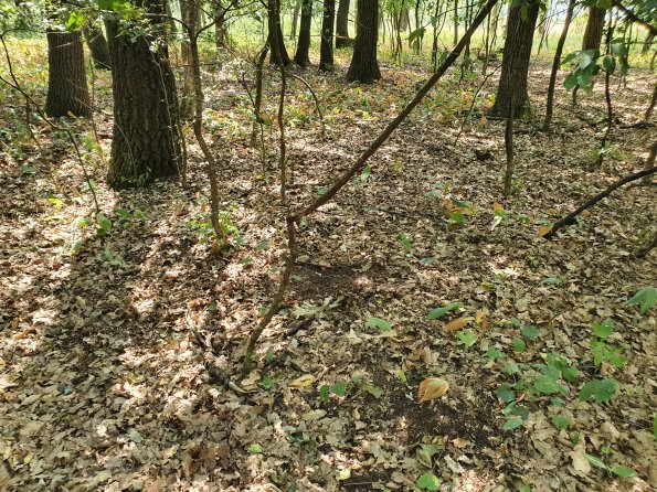 PA_AT_POET_otheractivitysignphoto_20220729131830106