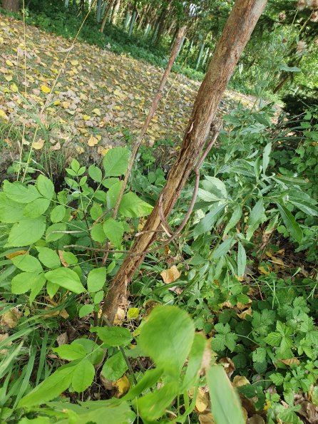 PA_AT_POET_otheractivitysignphoto_20220729135746952