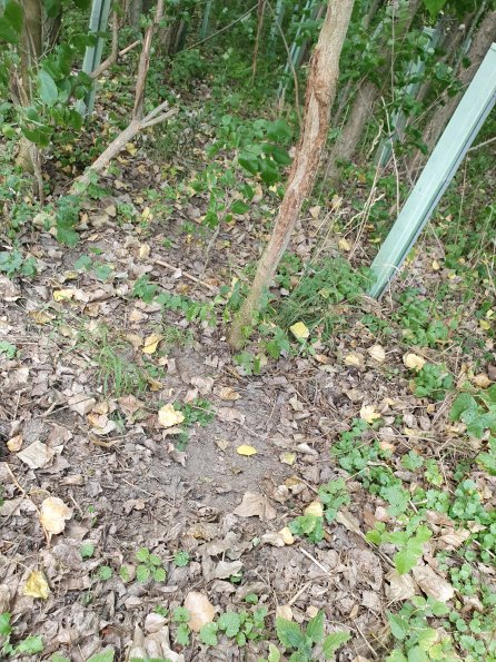 PA_AT_POET_otheractivitysignphoto_20220729135931638