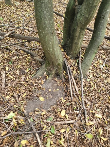 PA_AT_POET_otheractivitysignphoto_20220729143422505