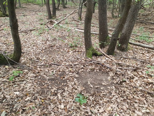 PA_AT_POET_otheractivitysignphoto_20220729143557224