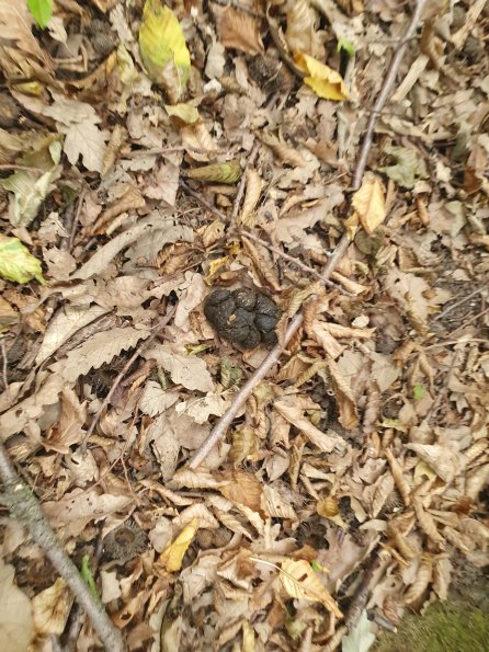 PA_AT_POET_otheractivitysignphoto_20220729144144302