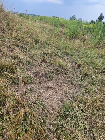 PA_AT_POET_otheractivitysignphoto_20220729153108183