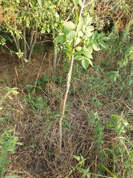 PA_AT_POET_otheractivitysignphoto_20220729191939650