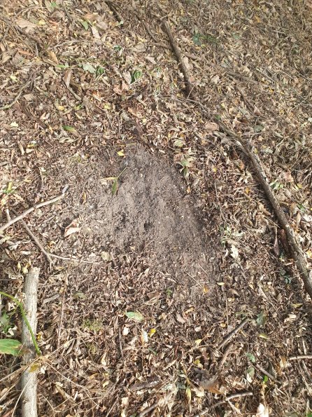 PA_AT_POET_otheractivitysignphoto_20220823171755018