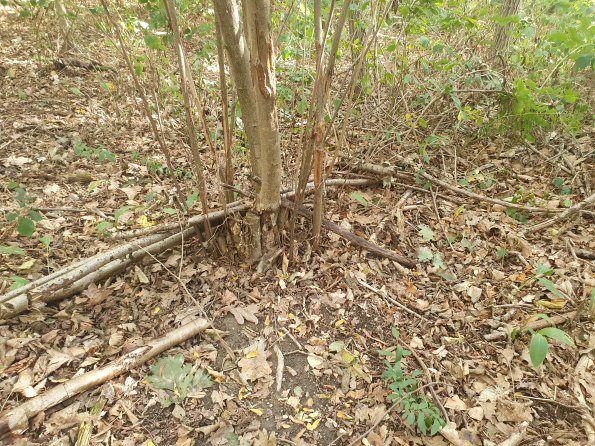 PA_AT_POET_otheractivitysignphoto_20220823172524326