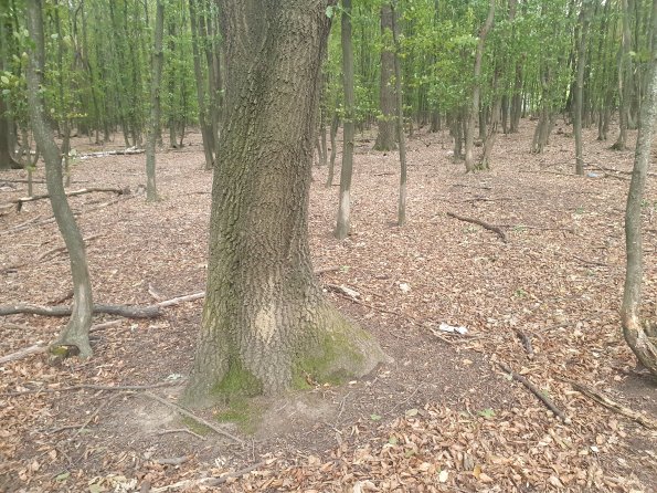 PA_AT_POET_otheractivitysignphoto_20220823182436261