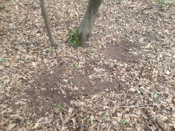 PA_AT_POET_otheractivitysignphoto_20220823182850009