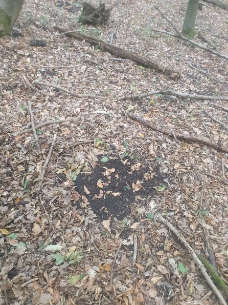 PA_AT_POET_otheractivitysignphoto_20220823183707439