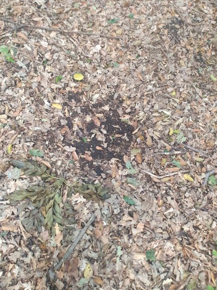 PA_AT_POET_otheractivitysignphoto_20220823184740066