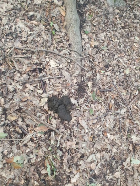 PA_AT_POET_otheractivitysignphoto_20220823184948450