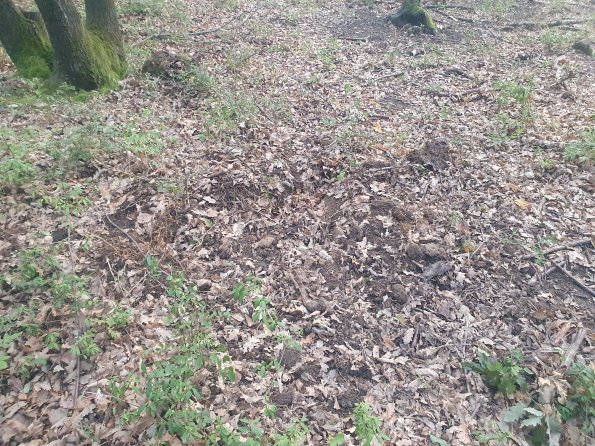 PA_AT_POET_otheractivitysignphoto_20220823190214328