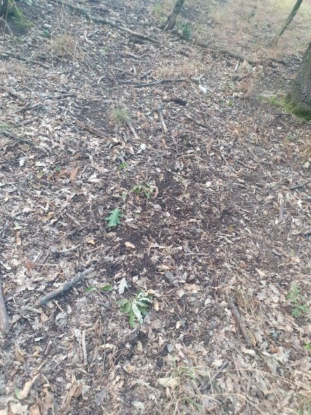 PA_AT_POET_otheractivitysignphoto_20220823190513397