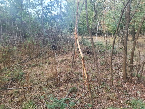 PA_AT_POET_otheractivitysignphoto_20220823190738069