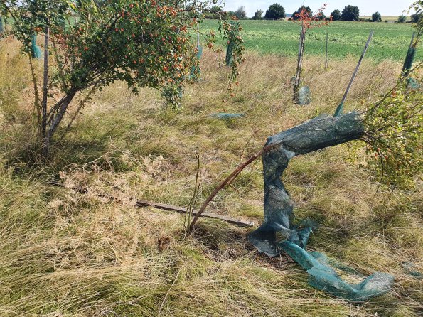 PA_AT_POET_otheractivitysignphoto_20220824105930882