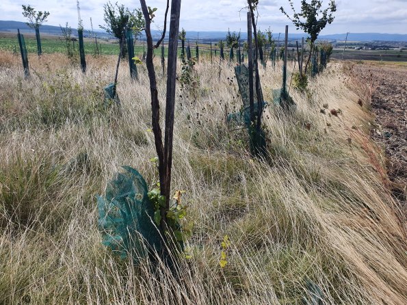 PA_AT_POET_otheractivitysignphoto_20220824110046437