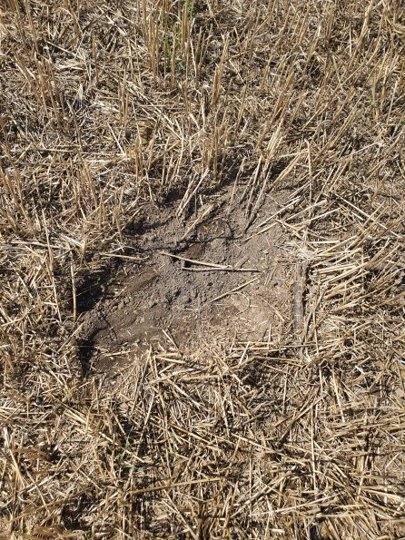 PA_AT_POET_otheractivitysignphoto_20220824123952445