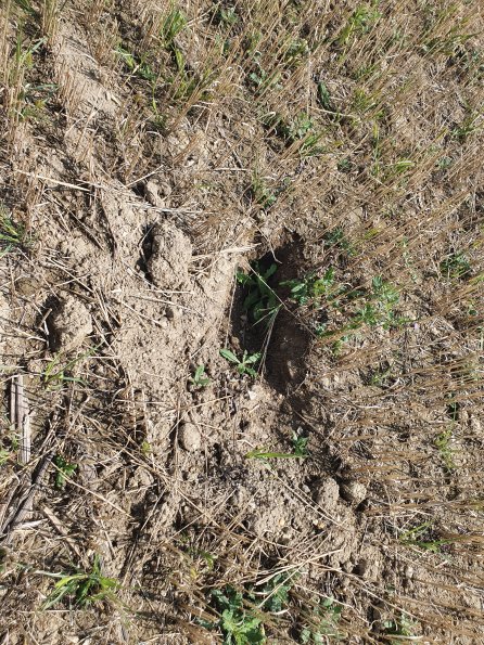 PA_AT_POET_otheractivitysignphoto_20220824124522822