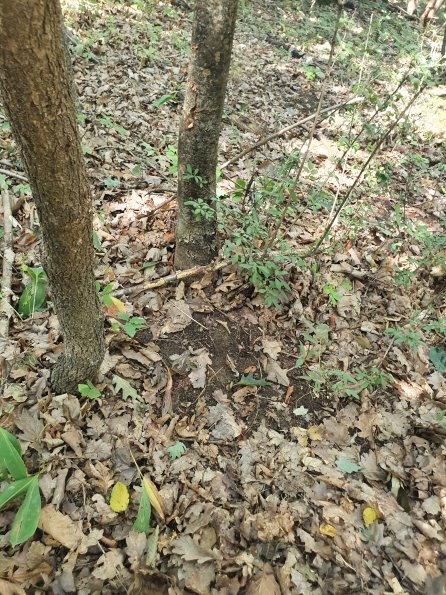 PA_AT_POET_otheractivitysignphoto_20220824150047840