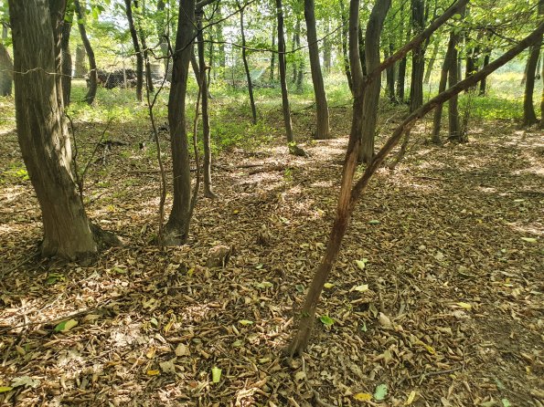 PA_AT_POET_otheractivitysignphoto_20220824150328332