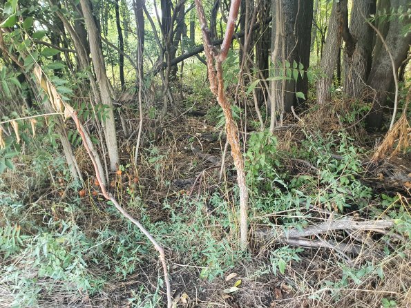 PA_AT_POET_otheractivitysignphoto_20220824152833119