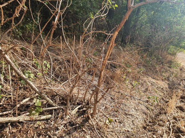 PA_AT_POET_otheractivitysignphoto_20220824171150828