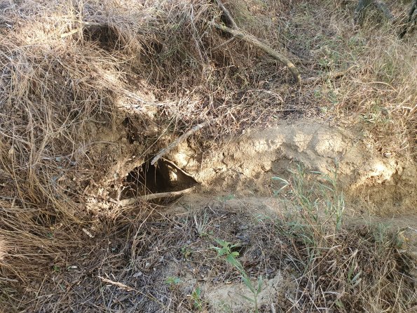 PA_AT_POET_otheractivitysignphoto_20220824171639582