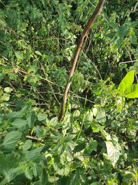 PA_AT_POET_otheractivitysignphoto_20220824181124060