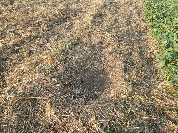 PA_AT_POET_otheractivitysignphoto_20220824184026326