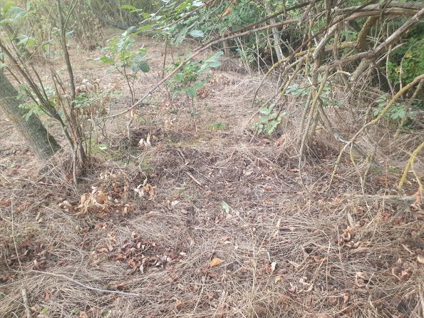 PA_AT_POET_otheractivitysignphoto_20220824192345908