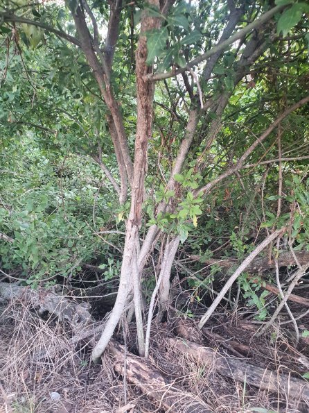 PA_AT_POET_otheractivitysignphoto_20220824192814907