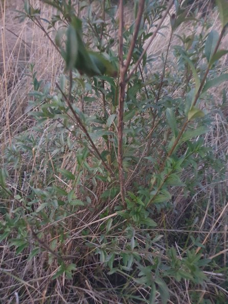 PA_AT_POET_otheractivitysignphoto_20220824201305930