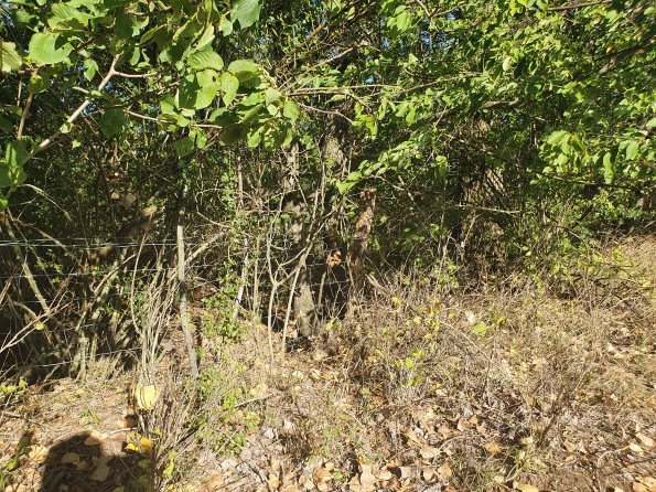 PA_AT_POET_photobarrier_20211001154431504