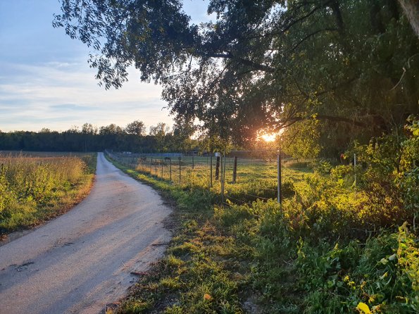 PA_AT_POET_photobarrier_20211001182228082_1663074595