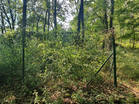 PA_AT_POET_photobarrier_20220824152728403