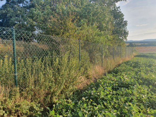 PA_AT_POET_photobarrier_20220824182437678